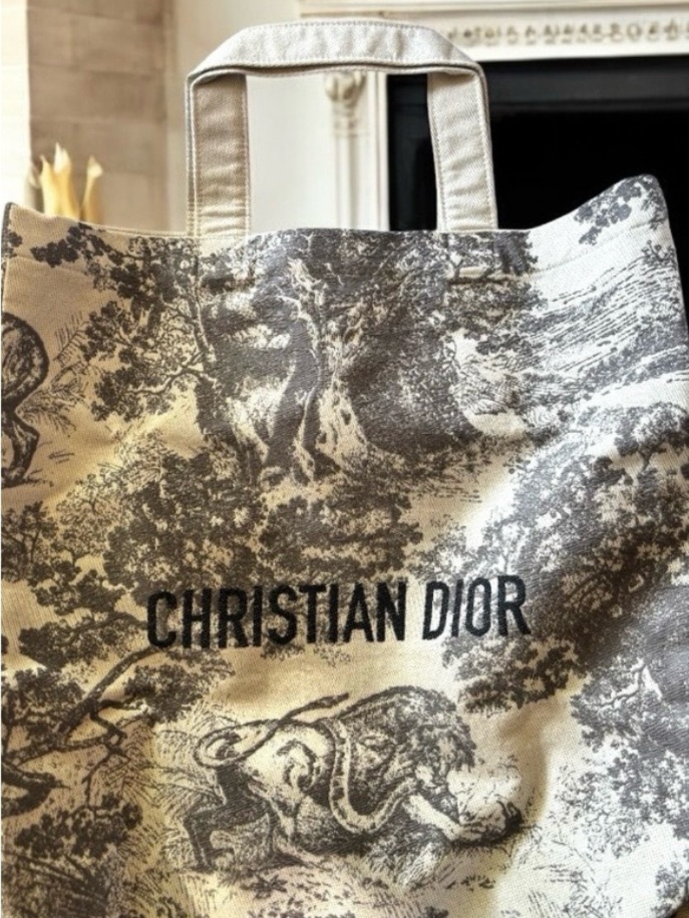 Dior Toile Canvas Tote in Beige and Grey